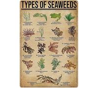Types of Seaweeds Posters Wall Decor Metal Signs Children's Science Knowledge Retro Room Decor Bedroom Printing Plaque 8x12 Inches