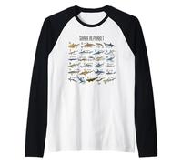 Types of Sharks Alphabet A-Z ABC Shark Identification Raglan Baseball Tee