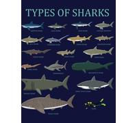 Types Of Sharks: Lined Shark Notebook (Shark Journal Composition Book) (8.5 x 11 Large)