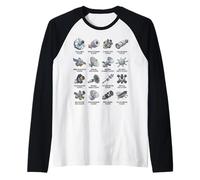 Types of Space Telescopes Astronomy Chart Science Lovers Raglan Baseball Tee