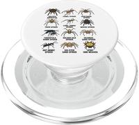 Types of Spiders Educational Arachnid Species Chart PopSockets PopGrip for MagSafe