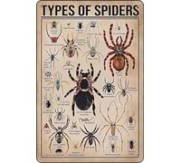 Types of Spiders Metal tin Sign Suitable for Insect Lovers, Study Rooms, Animal Crawl Spaces, Man cave 12 * 8 inch