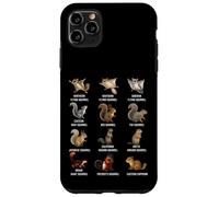 Types of Squirrels Identification Chart Species of Squirrels Case for iPhone 11 Pro Max