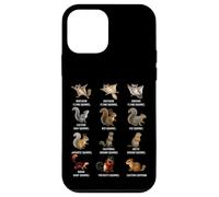 Types of Squirrels Identification Chart Species of Squirrels Case for iPhone 12 mini