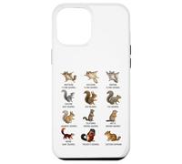 Types of Squirrels Identification Chart Species of Squirrels Case for iPhone 12 Pro Max