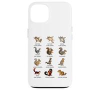 Types of Squirrels Identification Chart Species of Squirrels Case for iPhone 13
