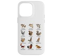 Types of Squirrels Identification Chart Species of Squirrels Case for iPhone 14 Pro Max