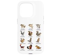 Types of Squirrels Identification Chart Species of Squirrels Case for iPhone 15 Pro