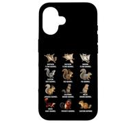 Types of Squirrels Identification Chart Species of Squirrels Case for iPhone 16