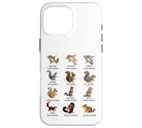 Types of Squirrels Identification Chart Species of Squirrels Case for iPhone 16 Pro Max