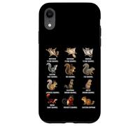 Types of Squirrels Identification Chart Species of Squirrels Case for iPhone XR