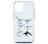 Types Of Whale Species Chart Ocean Mammals Fish Animal Guide Case for iPhone 12/12 Pro