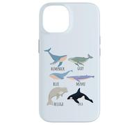 Types Of Whale Species Chart Ocean Mammals Fish Animal Guide Case for iPhone 14