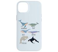 Types Of Whale Species Chart Ocean Mammals Fish Animal Guide Case for iPhone 14 Plus