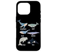 Types Of Whale Species Chart Ocean Mammals Fish Animal Guide Case for iPhone 16 Pro