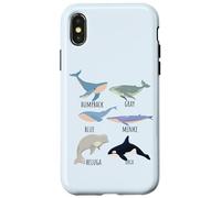 Types Of Whale Species Chart Ocean Mammals Fish Animal Guide Case for iPhone X/XS