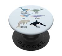 Types Of Whale Species Chart Ocean Mammals Fish Animal Guide PopSockets Adhesive PopGrip