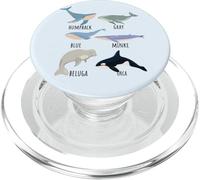 Types Of Whale Species Chart Ocean Mammals Fish Animal Guide PopSockets PopGrip for MagSafe