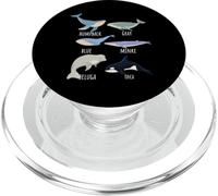 Types Of Whale Species Chart Ocean Mammals Fish Animal Guide PopSockets PopGrip for MagSafe