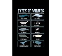 TYPES OF WHALES: A Journal, Notepad, or Diary to write down your thoughts. - 120 Page - 6x9 - College Ruled Journal - Writing Book, Personal Writing Space, Doodle, Note, Sketchpad