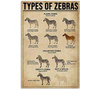 Types Of Zebras Metal Signs Retro Room Decor Zebra Science Knowledge Posters Club Farm Home Wall Decor Printed Plaque 8x6 Inches