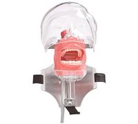 Typodont, Dental Typodont Teeth Model Removable Teeth & Adjustable Strap Dental Training Head