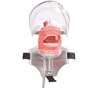 Typodont Teeth Model, Dental Typodont Teeth Training Model Removable & Adjustable Strap Dental Practice Head