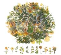 Tyqour 120Pcs Plant Stickers for Scrapbooking Nature Leaf Floral Stickers PET Transparent Waterproof Aesthetic Sticker Scrapbook Supplies Kit for Junk Journal Planner Laptops