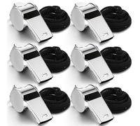 Tyqour 6 Pack Coach Whistle with Lanyard, Teacher Whistle, Loud Metal Whistle for Coaches, Referees, Lifeguard Whistle, Safety Whistle Bulk, Silver Stainless Steel