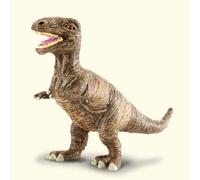 Tyrannosaurus Rex Baby