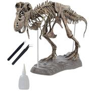 Tyrannosaurus Skeleton Assembly Model Set with Glue & Tweezers,70cm T Dinosaur Animal Model with Assembly Tools,Dinosaur Decor Model For Adult Kid