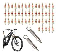 Tyre Valve Removal Tool, Tyre Valve Core Remover, 2 x Car Valve Core Remover, Stainless Steel Tool, Brass Valve Cores Included, Tyre Repair Installation