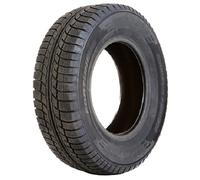 TYRE WINTER FORTUNE 195/75 R16 107R FSR-902 WINTER