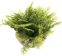 Tyrol Artificial Aquarium Plant XL 20 cm - Indoor Plastic Plant on Base - Green Foam Mat - Easy Anchor to Bottom of Aquarium - Made in