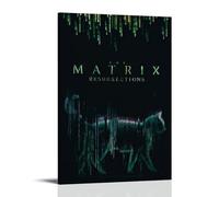 TYRWRHURWEY The Matrix Posters Wall Art Canvas Aesthetic Vintage Poster Decorative Painting Living Room Bed Room Decor 16x24inch(40x60cm) Frame-style