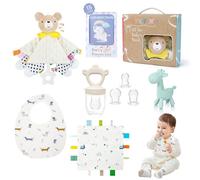 TYRY.HU Baby Gift Sets,Baby Bibs Fruit Feeder Dribble Bibs Comforters Security Blanket Weaning Set Teething Toys for Baby Milestone Cards Newborn Infant 0 3 6 9 Month
