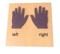 tysdyzgs Montessori Left And Right Hand Toys, Language Cognition Teaching AIDS Early Education Children's Toys