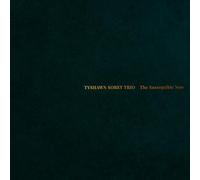 Tyshawn Sorey - The Susceptible Now