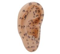 TYTOGE Ear Acupuncture Point Model Ear Zone Massage Model Laboratory Supplies for Acupoints Pressure Point Learning 30x17cm