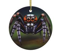TYUMHTropical Rainforest Spiders Christmas Ceramic Circular Hanging Ornament, Suitable for Home, Festive Occasions and mantelpieces.