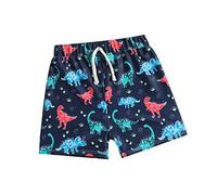 TYUSGH Boys Beach Shorts Dinosaur Printed Swim Trunks Quick Dry Board Shorts Kids Beachwear Bathing Suits Swimwear Swimsuits 1-4 Years Navy