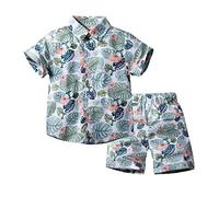 TYUSGH Kids Boys Hawaiian Summer Clothes Short Sleeve Button Down Shirts Shorts Set Toddler 2PCS Outfits for Birthday Green