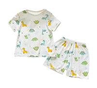 TYUSGH Toddler Boys Clothes Set Summer Short Sleeve Tops Cartoon Print T Shirts Shorts 2PCS Outfits Birthday Gifts Green