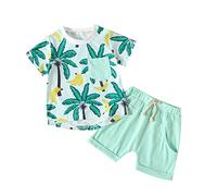 TYUSGH Toddler Boys Summer Clothes Baby Hawaiian Print Short Sleeve Tops T-Shirts Shorts Set 2PCS Outfits for Birthday Green