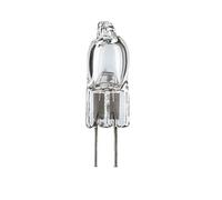 TYZK Microscope Accessories 5pcs G4 6V 12V Halogen Lamp Bulb Beads 10W 15W 20W 25W 30W Microscope Light Accessory Durability and Reliable Performance (Size : 12V 10W)