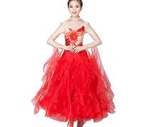 Tzdd National Standard Dance Competition Dresses Waltz Tango Flamenco Classic Performance Great Swing Dance Costume,red,S