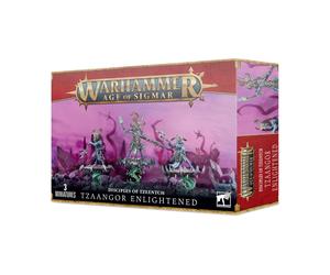 Tzeench Arcanites Tzaangor Elnightened