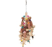 TZOXTLH Bird Chewing Toy Colorful Corn Cobs Nuts Parrot Bite Toy with Hook for Parakeet Budgie