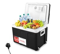 TZS First Austria - 40L Electric Cool Box with Wheels - Trolley Function - 12V/230V for Car & Mains - Cooling & Warming - Quiet Thermoelectric System - Black