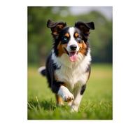 TZTTZT Diamond Art Kits for Adults - Dog Running Lush Green Grass Diamond Painting Kits for Adults Beginner, Frameless Diamond Painting Craft for Home Wall Decor
